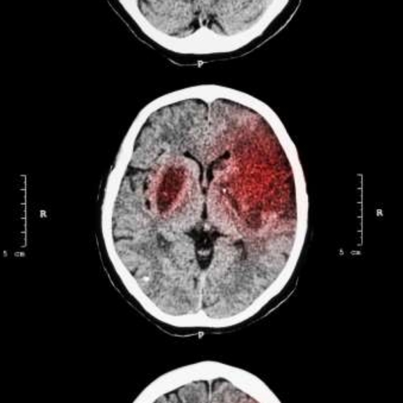 Jimbo & G - Posh' Mentor - Picture 5 of 8